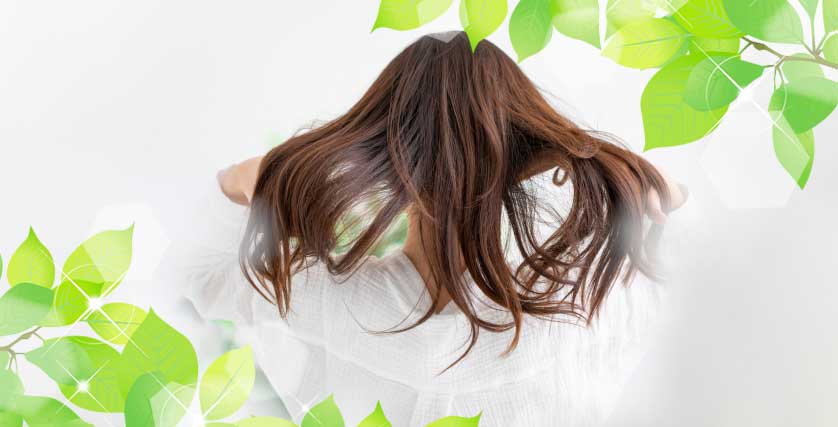 鴻巣の美容室で行う薬用輝髪の髪質改善トリートメント
